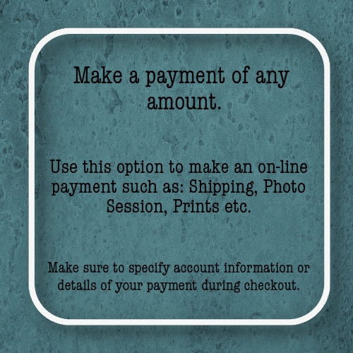 Click here to Make a Payment | online_payment.jpg