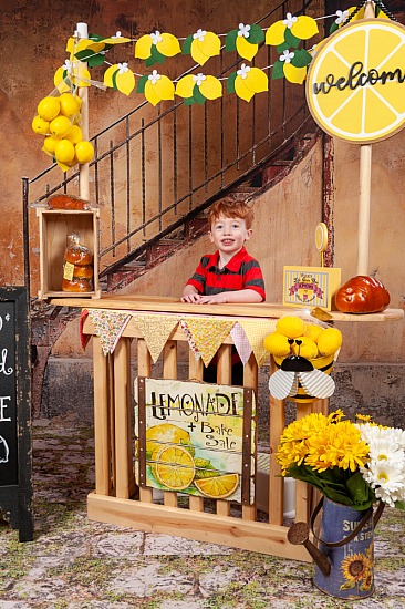 Director's view only